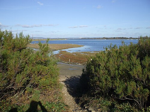 Chichester Harbour